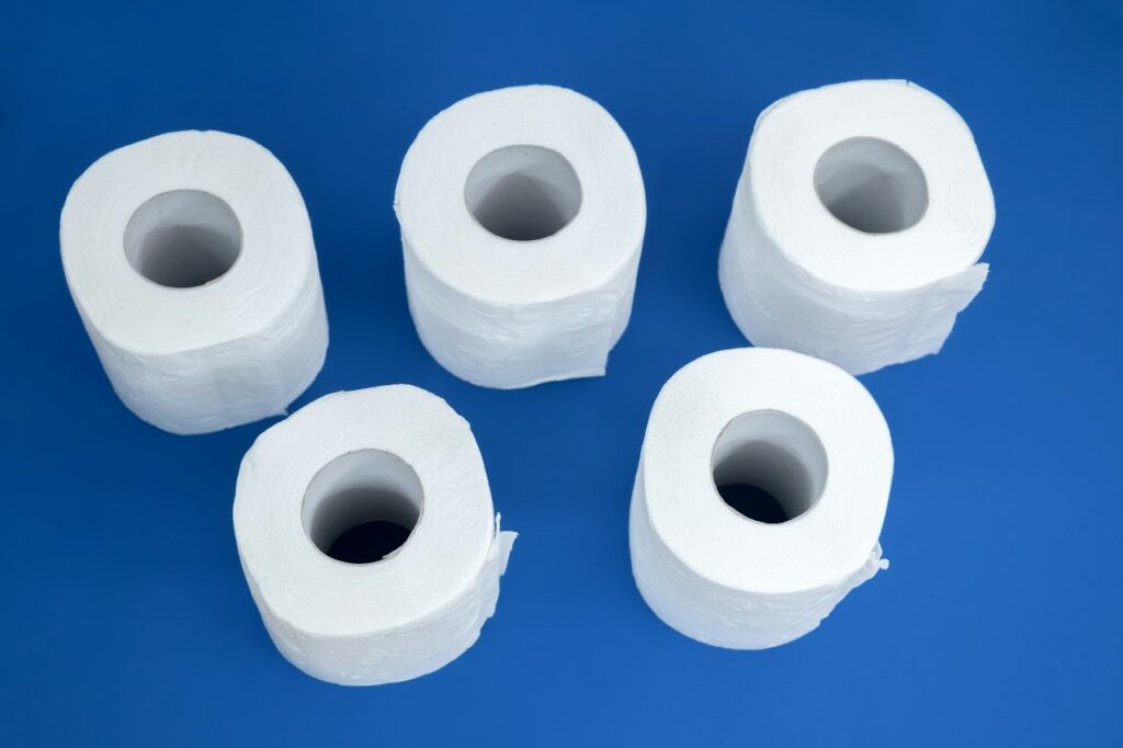 Papel Higiênico Folha Dupla 30m 12 Unidades